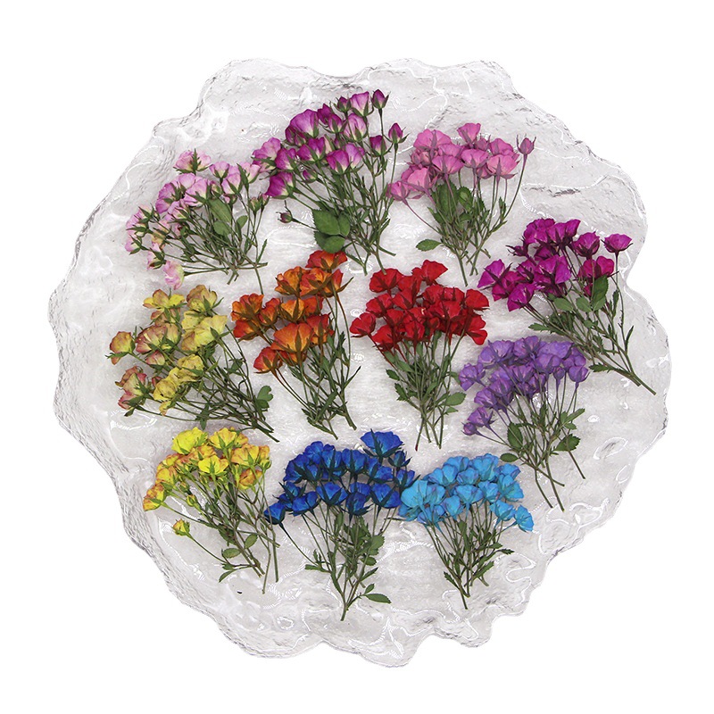 36X Pressed Dried Multi-heads  - Dried Flower Bookmark recension och pris