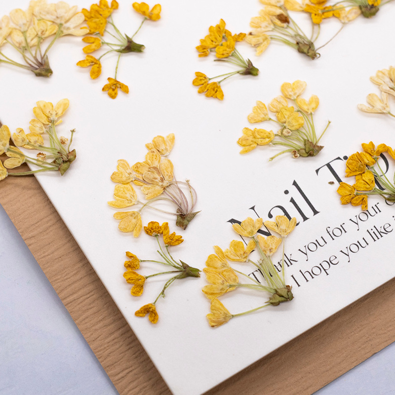 24pcs,Natural Real Pressed Flo - Dried Flower Bookmark recension och pris